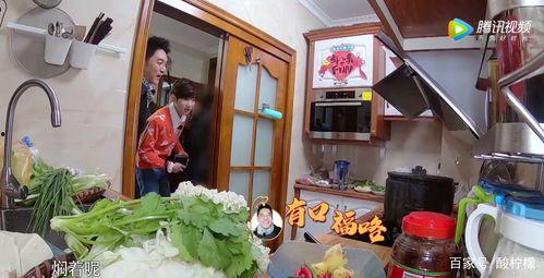 全家带凳子吃瓜免费观看,共享夏日清凉时光 第3张 全家带凳子吃瓜免费观看,共享夏日清凉时光 第3张